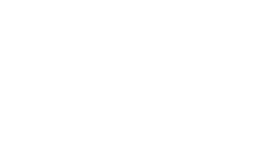 BFI